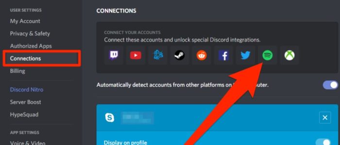 Discord-User Settings-Connections